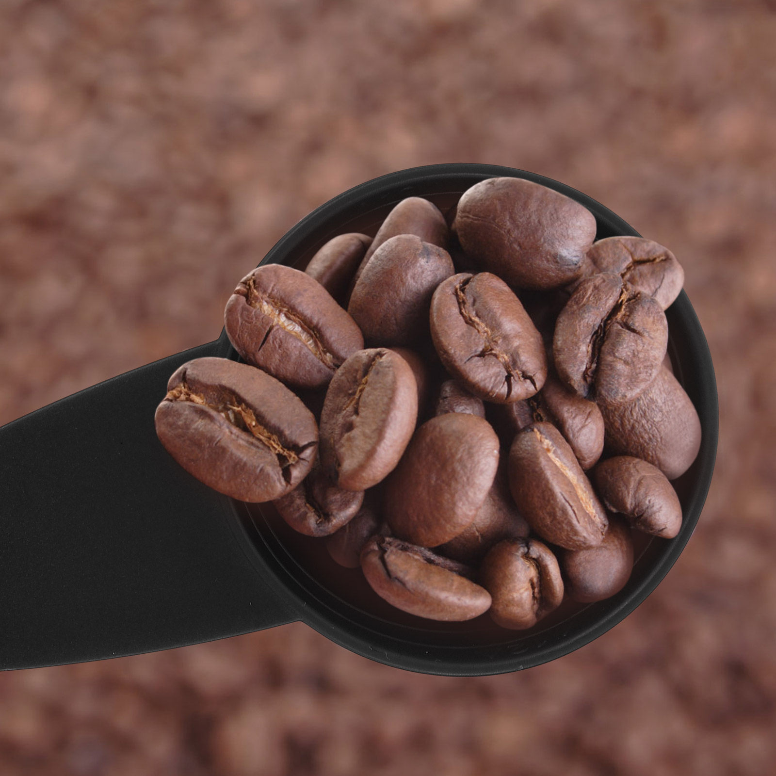 5Pcs Measure Spoon Long Handle - Coffee Tea Spices review and price